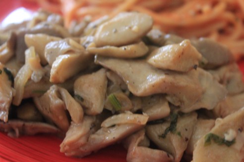 Entre el Comal y la Olla