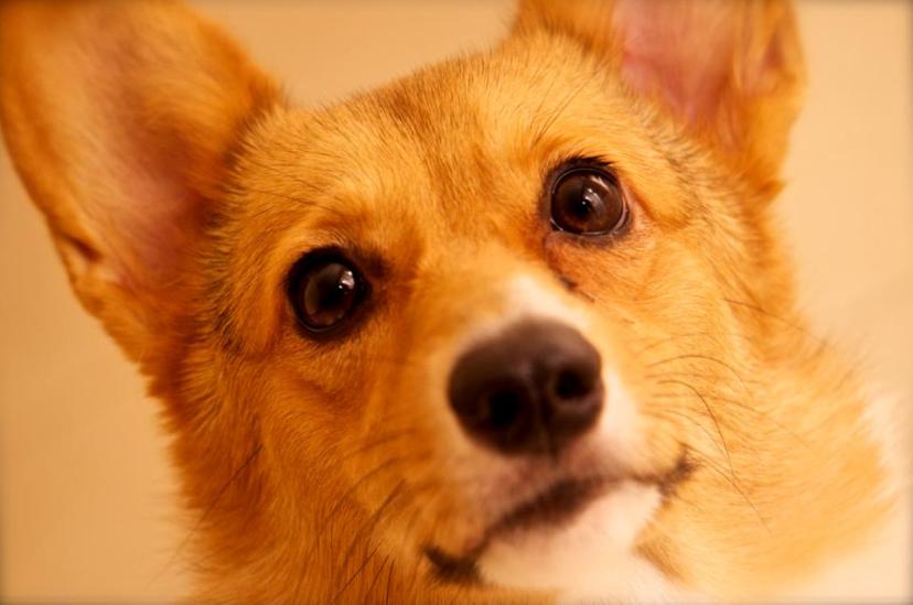 Entre el Comal y la Olla.